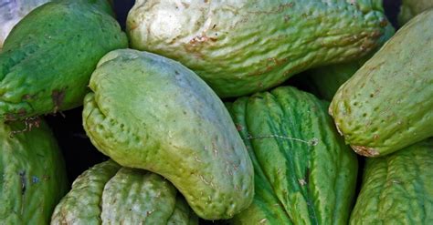 Chuchu é Legume Ou Verdura