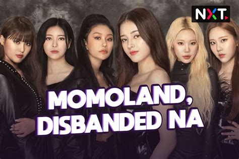 Momoland Nag Disband Na ABS CBN News