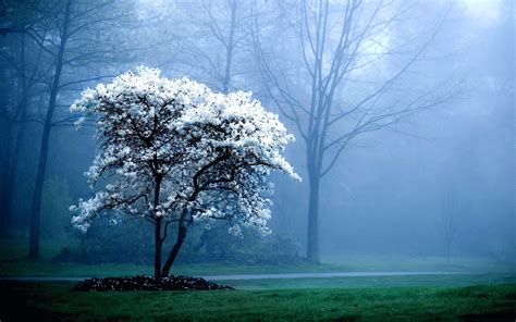 10 Top Desktop Wallpaper Hd Full Screen FULL HD 1920×1080 For PC