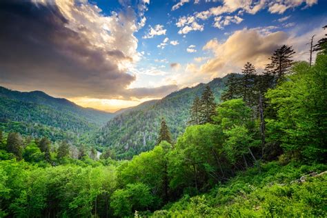 5 Things To Do In The Great Smoky Mountains National Park