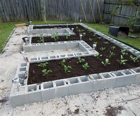 Building Raised Garden Beds With Concrete Cinder Blocks