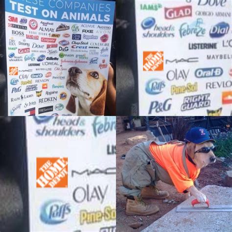 These companies test on animals | t3hwin.com