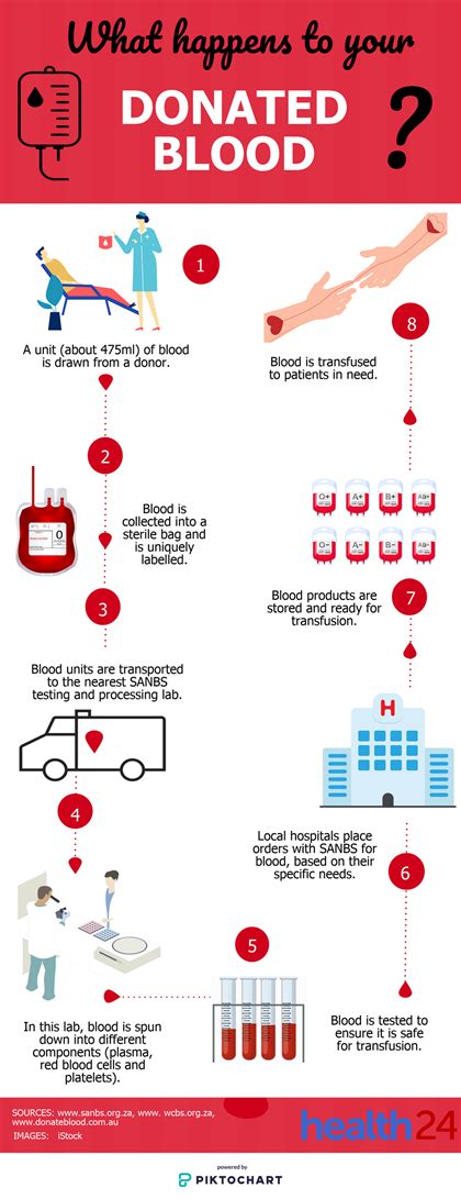 See What Happens To Your Donated Blood Health24