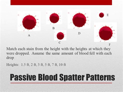 Blood Spatter October 3 Ppt Video Online Download