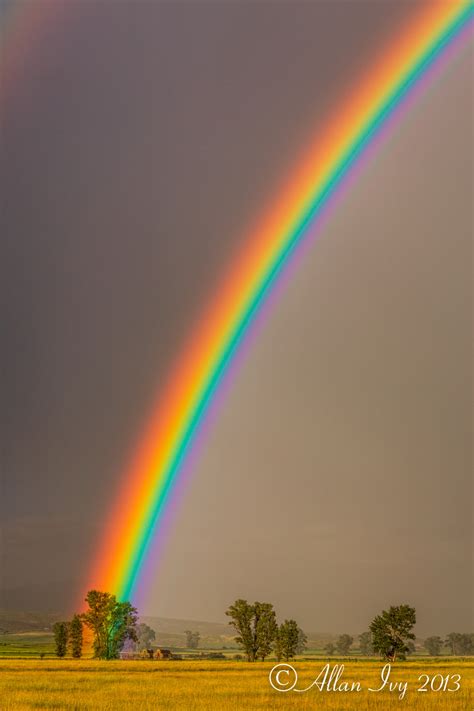“rain And Rainbows”