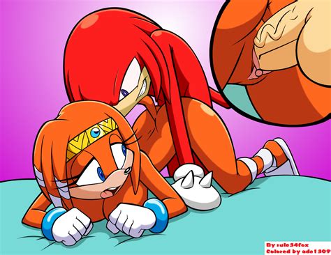 Post 1429914 Adc1309 Knuckles The Echidna Rule34rox Sonic The Hedgehog Series Tikal The Echidna