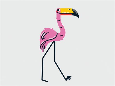 Flamingo Simple Cartoon Flamingo Pictures Animation Reference