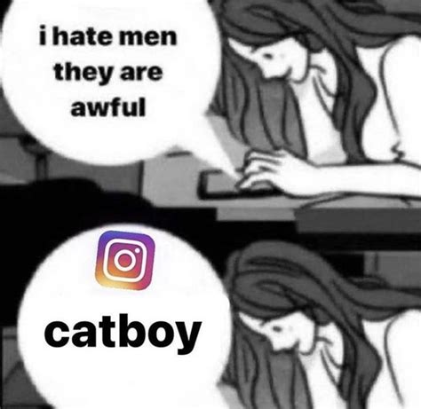 Catboy Stupid Funny Memes Catboy Stupid Memes