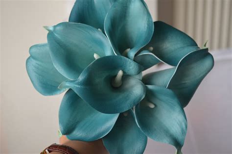 10 Teal Blue Calla Lilies Real Touch Flowers Diy Silk Wedding Etsy