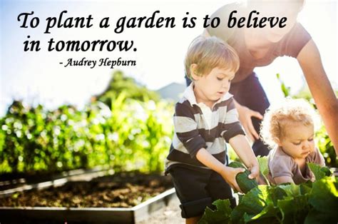 Best Garden Quotes And Inspirational Gardening Sayings