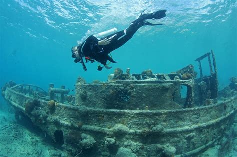 Ocean Dive Willemstad All You Need To Know Before You Go