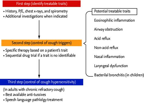 Clinical Approach To Chronic Cough With A Concept Of Cough