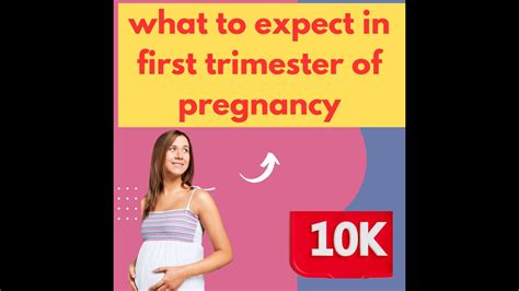 What To Expect In First Trimester Of Pregnancy Youtube