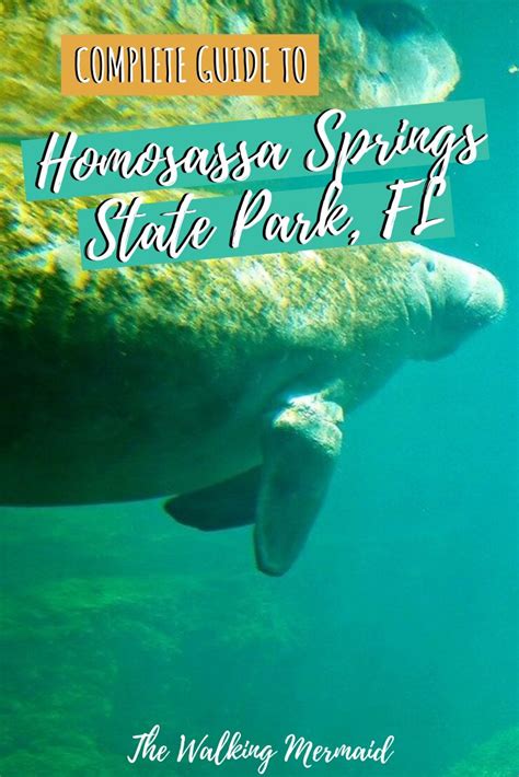 Homosassa Springs State Park State Parks Florida Travel Relaxing Travel