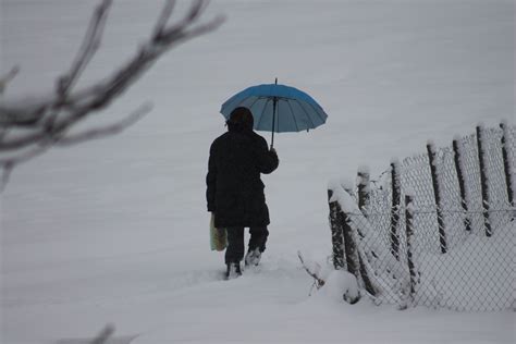 Free Images Tree Outdoor Person Snow Cold People Woman White