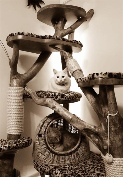 Today we will talk about some of the best cat trees. Bespoke Luxury Wooden Cat Trees & Cat Furniture