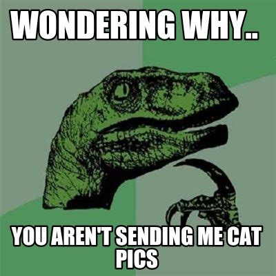 There isn't a single joke that everyone would find funny and laugh at because it depends on the person's perspective and the. Meme Creator - Funny wondering why.. you aren't sending me ...