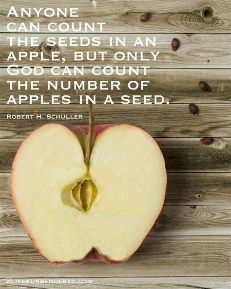 Pin By Audrey On Jesus Me Apple Quotes Apple Quotes About God