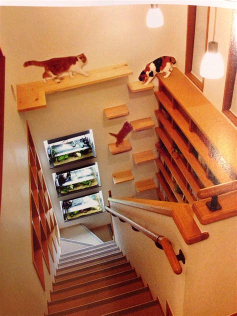 Diy Cat Shelves Ideas Awesome Diy Cat Shelves Diy Cat Shelves Cat