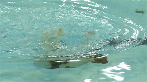 Panasonic Fz200 College Synchronized Swimming Mcgill Uni Flickr
