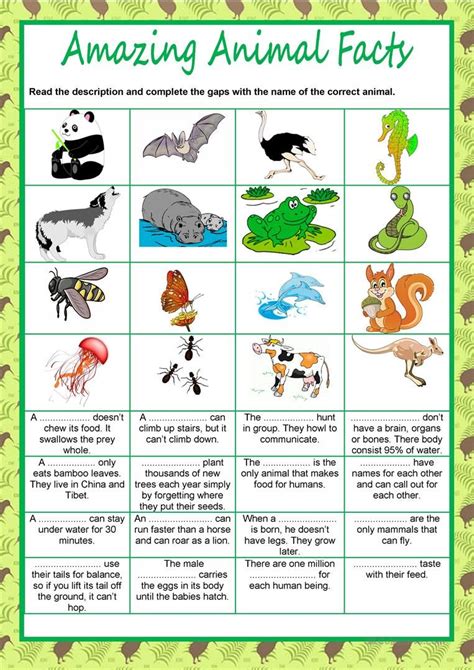 As your child grows, he will be exposed to wild you may also want to help your child develop a keen interest in the world around. Animals - Amazing facts worksheet - Free ESL printable worksheets made by teachers in 2020 ...