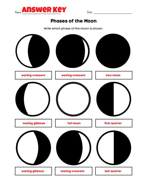 Easy Phases Of The Moon Worksheet Fun Pdf Print Activity With Answer