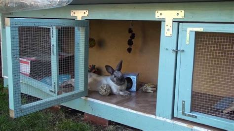 How To Make Rabbit Cage Custom Cage For Your Bunnies