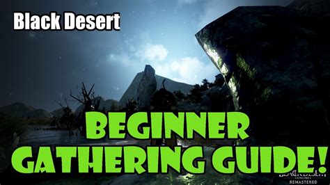 [black Desert] Beginner New Player Complete Gathering Guide Youtube