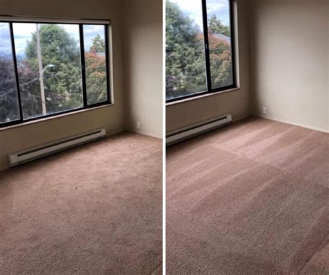 Molly maid of lynnwood gives back to the community by supporting domestic violence services of snohomish county. Seattle House Cleaning Services - Seatown Cleaners