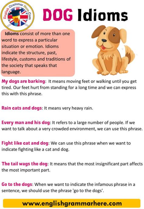 Dog Idioms Definition And Examples English Grammar Here
