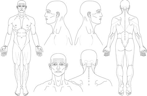 Diagram Vehicle Body Diagrams Mydiagram Online