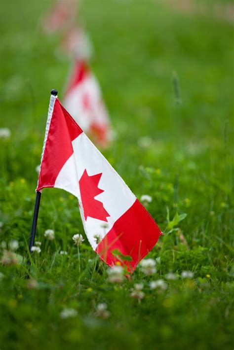 Famous Canadian Holidays And Traditions Leifenfest Canadian Living