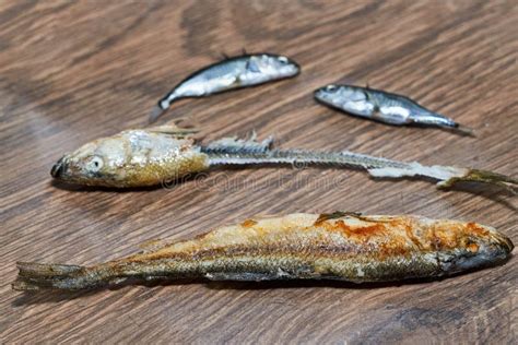 Whole Fried Fish Smelt And Fish Bones On A Plate Stock Image Image