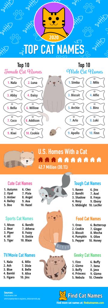 Top Cat Names Of 2020 Infographic Find Cat Names Cat Names Cat Hot