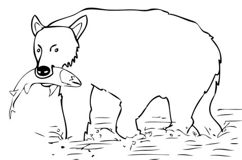 Brown Bear Hunting Fish Coloring Page Free Printable Coloring Pages