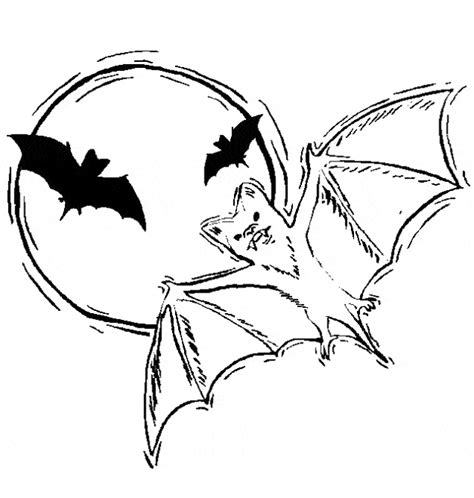 Gambar Vampire Bat Coloring Page Animals Town Color Sheet Free Pages Di