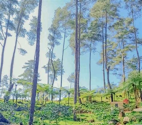 سياسة, siyasah), yang berarti dari, untuk, atau yang berkaitan dengan warga negara), adalah proses pembentukan dan pembagian kekuasaan dalam masyarakat yang antara lain berwujud proses pembuatan keputusan, khususnya dalam negara. Agrowisata Pango-Pango, Sulawesi - Administrasi Publik