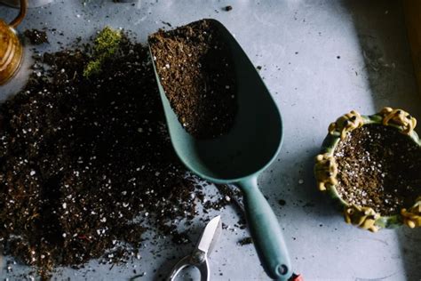 To have control over the mix and ultimately, their food. DIY: The Ultimate Worm Compost Seed Starting Mix