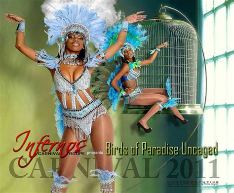 Nicole Infernos Carnival Troupe 2011 Birds Of Paradiseuncaged