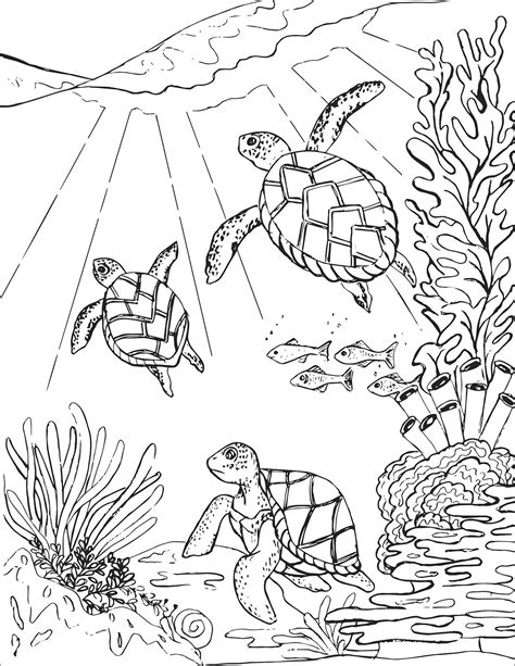 Coloring Pages Of Turtles For Adults