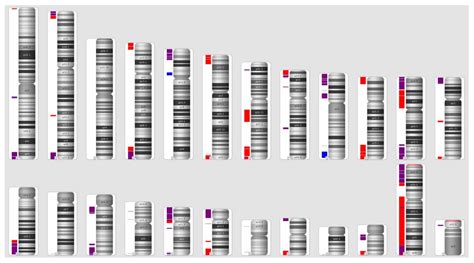 Reprod Med Free Full Text Construction Of Copy Number Variation