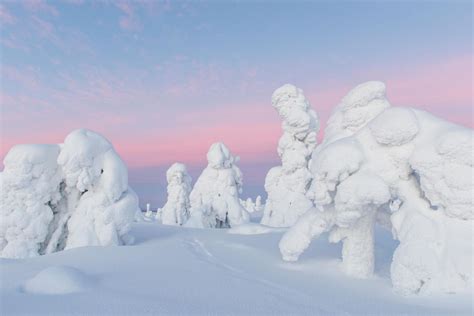 Lapland In Winter Most Wonderful Time Of Year Visit Finnish Lapland