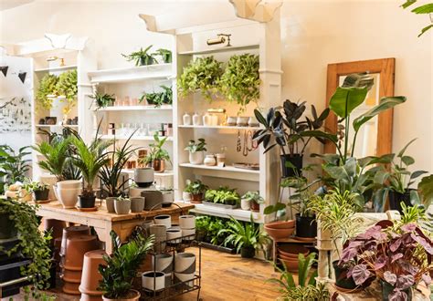 Serving the twin cities metro area. Ergo Floral's Spring Refresh - Mpls.St.Paul Magazine