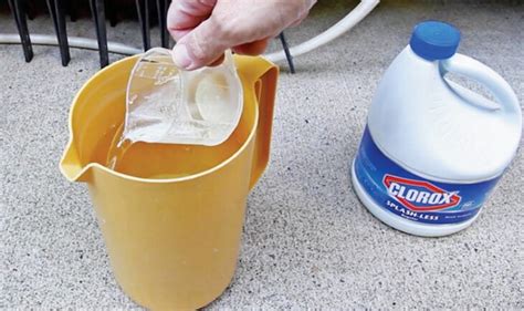 Check spelling or type a new query. How to Purify Water With Bleach: A Guide to Safe Drinking ...