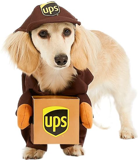 California Costumes Ups Delivery Driver Dog And Cat Costume X Small