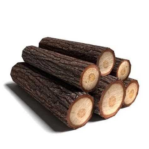 Wooden Logs At Rs 500cubic Feet Timber Logs In Vapi Id 13482001012