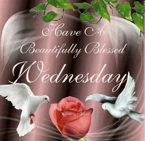 Sep 11, 2018 · sending good morning images with shayari is the best way to send wishes your dear and near ones to have a blessed day ahead. Have A Blessed Wednesday Pictures, Photos, and Images for ...