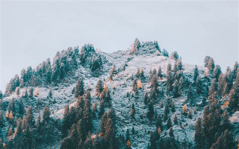Download Wallpaper 3840x2400 Mountain Slope Trees Snow Landscape 4k