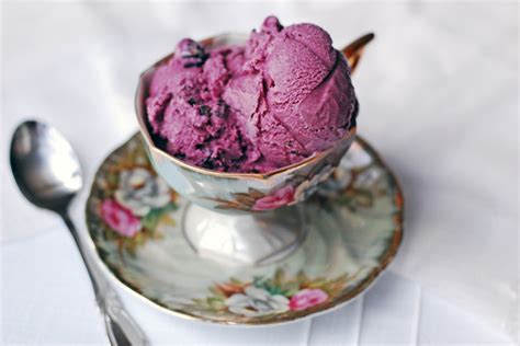 Ice cream is a dairy product that contains cow's milk. Black Raspberry Ice Cream with Chocolate Chunks Recipe ...