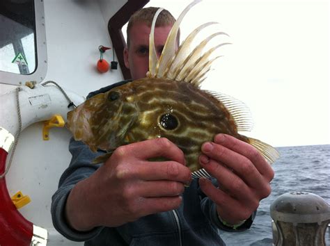 John Dory Newquay Fishing Trips